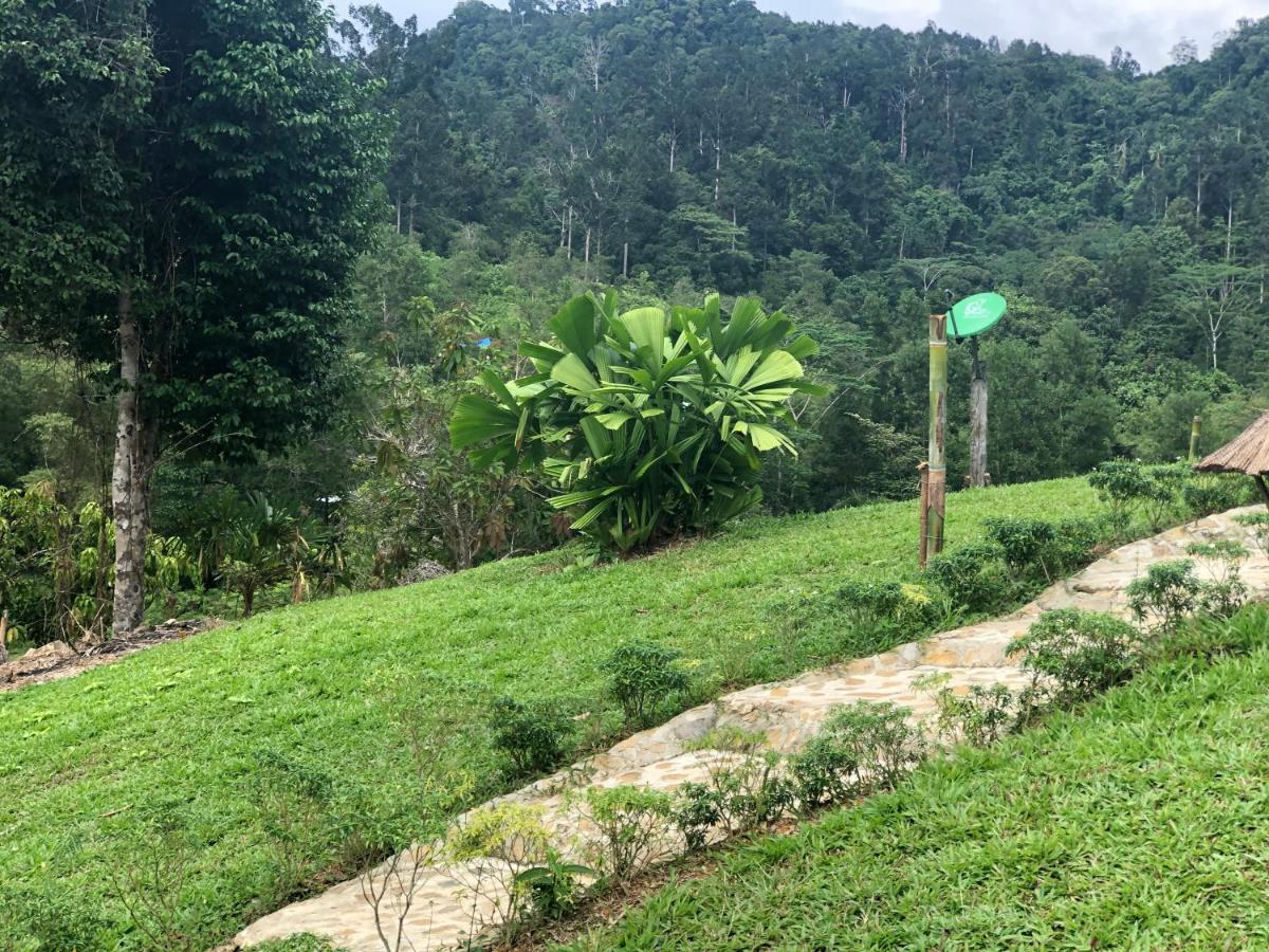 Backpacker'S Hill Resort San Vicente  Exterior photo